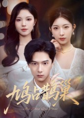 鸠占鹊巢&顶流夫人的致命陷阱（70集）古代短剧推荐