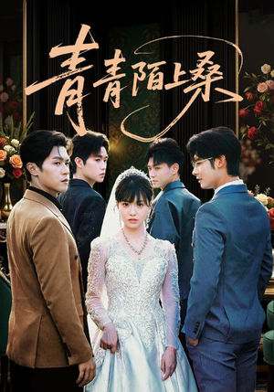 青青陌上桑（70集）热门短剧推荐