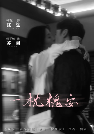 一枕槐安（80集）全剧看到大结局