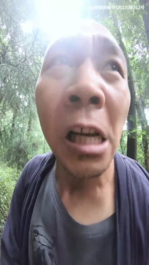消失的她与我那些事儿&孤岛爱之狂野迷踪（46集）精彩短剧分享