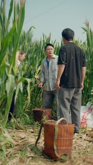 逍遥村野小神农(80集) 逍遥村野小神农(80集)最新上映的短剧