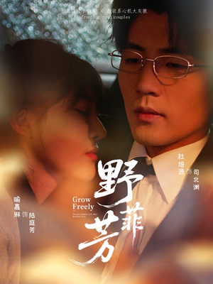 野芳菲（60集）热播短剧排行榜