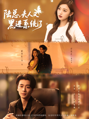 陆总夫人又黑进系统了（81集）短剧追不停