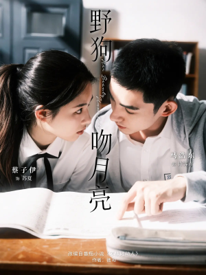 野狗吻月亮（68集）全集下载