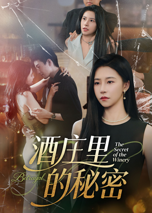 酒庄里的秘密（54集）免费看短剧全集