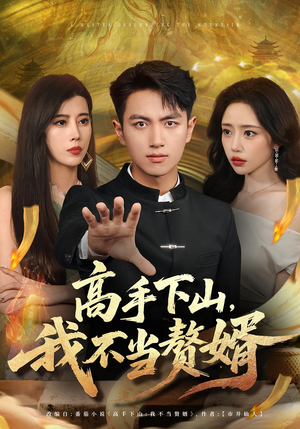 高手下山我不当赘婿（66集）真的太好看了