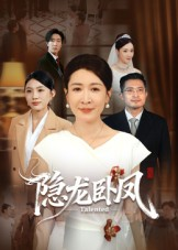 隐龙卧凤（72集）免费看全集