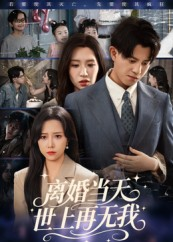 离婚当天世上再无我（60集）火爆短剧推荐
