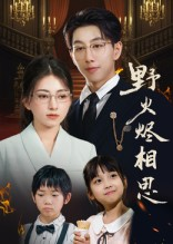 野火烬相思（61集）更新时间