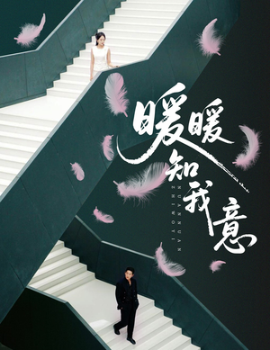 暖暖知我意（61集）爆火短剧追不停