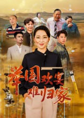 举国欢宴难归家（40集）短剧太好看了