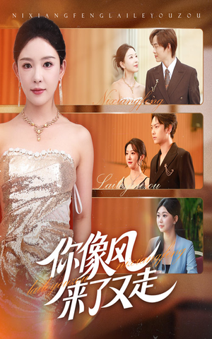 你像风来了又走（59集）在线看免费版