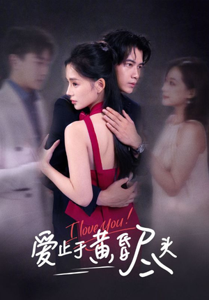 爱止于黄昏尽头（60集）海量短剧免费看
