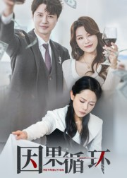 因果循环(45集) 因果循环(45集)网络小短剧