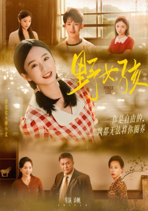野女孩（91集）好看吗