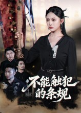 不能触犯的条规（50集）热门短剧推荐。