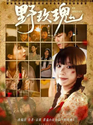 野玫瑰（82集）第32集