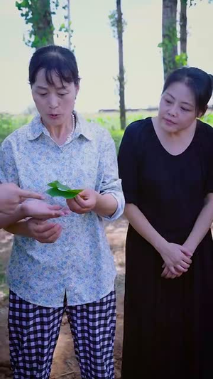 我在天庭打扫卫生却成了玉帝（79集）原创精彩短剧