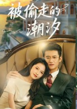 被偷走的潮汐（60集）免费观看完整版