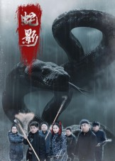 蛇影(25集) 蛇影(25集)简直不要太好看