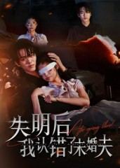 失明后我认错了未婚夫（34集）好看短剧推荐