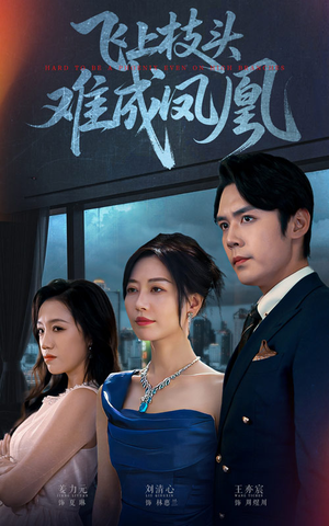 飞上枝头难成凤凰(47集) 飞上枝头难成凤凰(47集)看精彩短剧