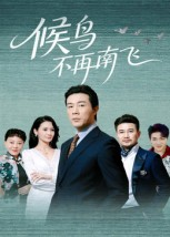 候鸟不再南飞(80集) 候鸟不再南飞(80集)火爆短剧热播中