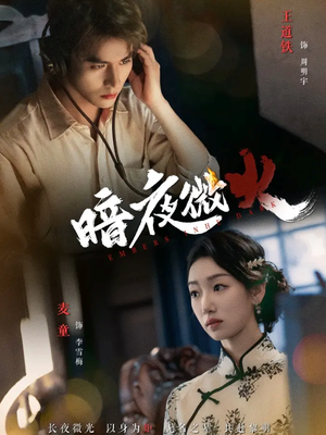 暗夜微火(80集 暗夜微火(80集免费看全网短剧