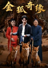 金狐奇缘(42集) 金狐奇缘(42集)甜宠短剧追到爽