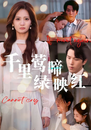 千里莺啼绿映红(63集) 千里莺啼绿映红(63集)精彩短剧天天看