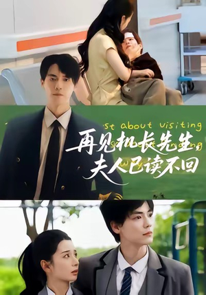 再见机长先生夫人已读不回(62集) 再见机长先生夫人已读不回(62集)第32集