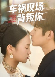车祸现场背叛你(37集) 车祸现场背叛你(37集)精彩短剧看全集