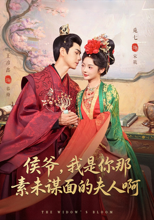 侯爷我是你那素未谋面的夫人啊(80集) 侯爷我是你那素未谋面的夫人啊(80集)完整版
