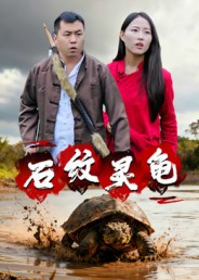 石纹灵龟(30集) 石纹灵龟(30集)更新时间一览表