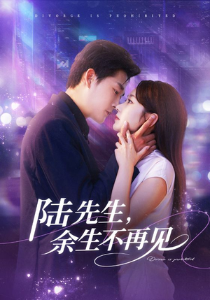 陆先生，余生不再见（88集）番茄短剧看全集