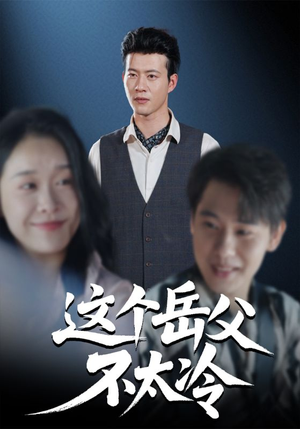 这个岳父不太冷(30集) 这个岳父不太冷(30集)在线播放