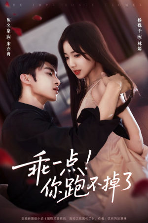 乖一点！你跑不掉了（80集）全集免费