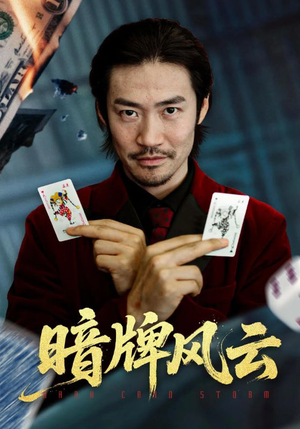 暗牌风云(60集) 暗牌风云(60集)80到100集