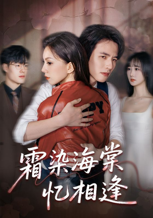 霜染海棠忆相逢（72集）红果免费看短剧