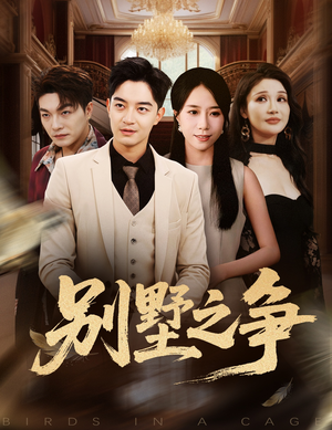 别墅之争(59集) 别墅之争(59集)热播短剧免费看