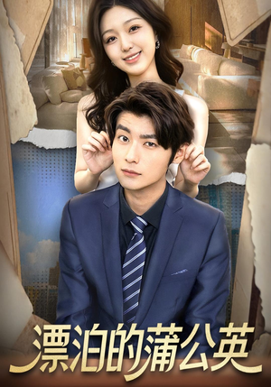 漂泊的蒲公英(60集) 漂泊的蒲公英(60集)全网独播免费看