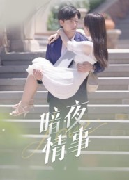 暗夜情事(100集) 暗夜情事(100集)全集完整版