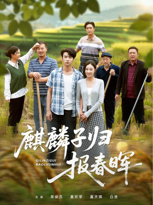 麒麟子归报春晖（36集）免费短剧全集看