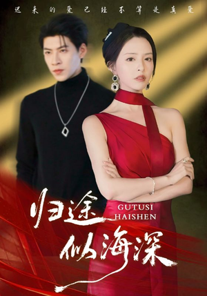 归途似海深（61集）好看吗