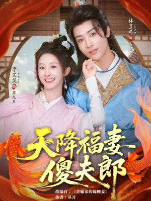 天降福妻傻夫郎（85集）直接追到结尾