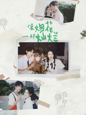 像烟花一样灿烂（60集）第二季