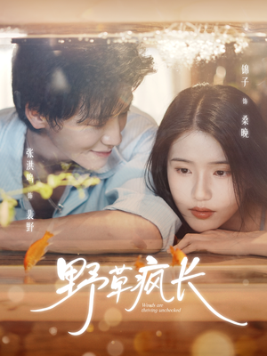 野草疯长(71集) 野草疯长(71集)每日短剧追不停