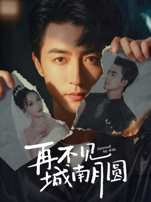 再不见城南月圆(60集) 再不见城南月圆(60集)经典回顾免费看