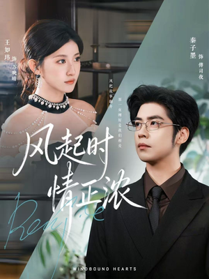 风起时情正浓(79集) 风起时情正浓(79集)超好看的短剧