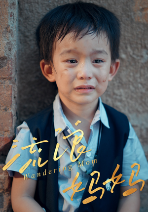 流浪妈妈（30集）短剧全集完整